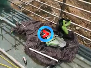 南陽(yáng)熏衣草莊園走廊 南陽(yáng)熏衣草莊園走廊