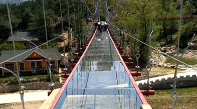 免責(zé)聲明 免責(zé)聲明